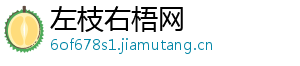 左枝右梧网	